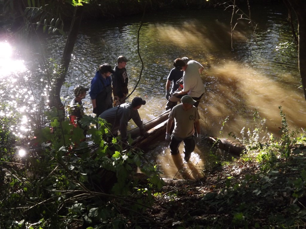 Placing Diverter Logs