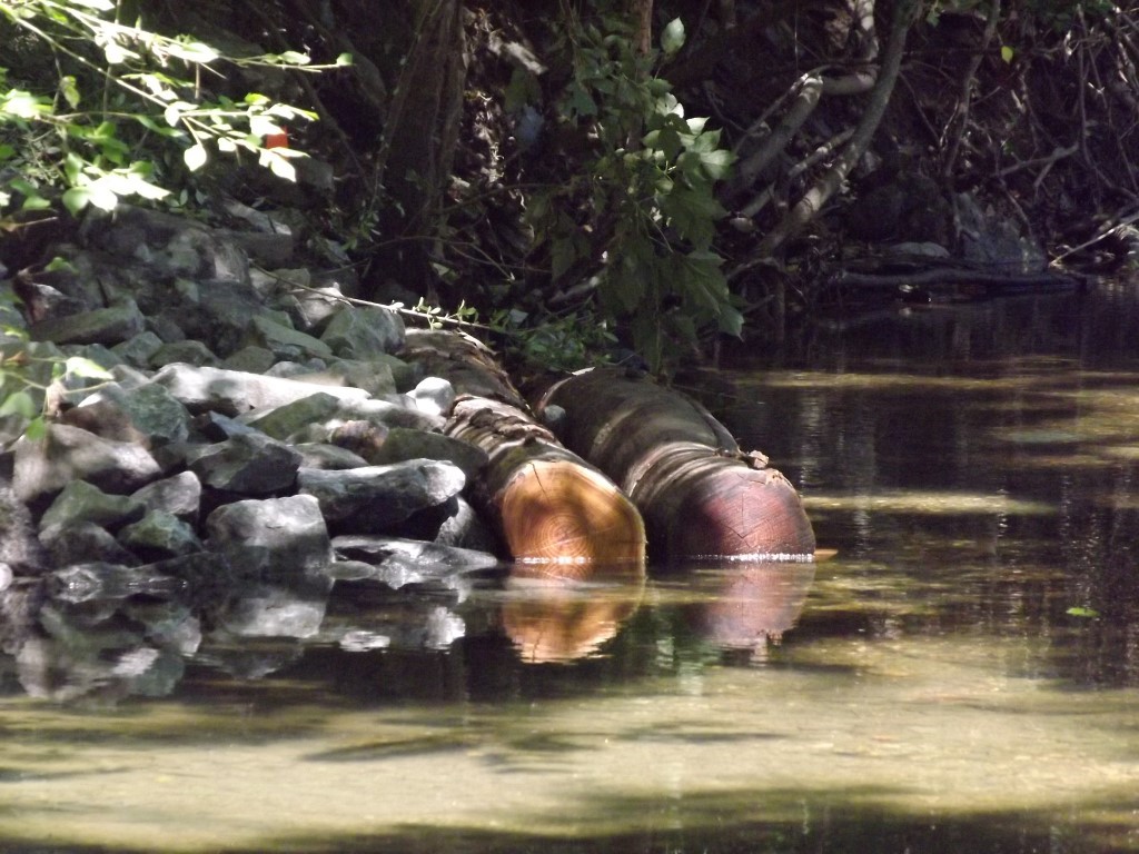 The Finished Product